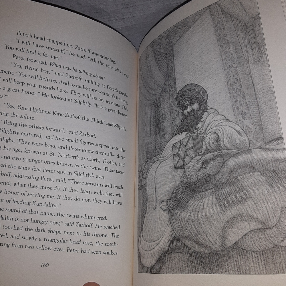 Chapter book - Picture 3 of 9